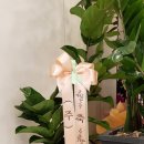 센트럴치과기공소 이미지