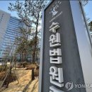 [속보] 법원 "쌍방울 대북송금, 경기지사 방북 관련 사례금 보기 충분" 이미지