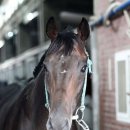 지금이순간 이미지