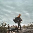 THE POOCH(푸치) 이미지