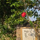 가시리 풀하우스 이미지