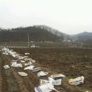 선바위농원 이미지