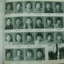 함백초등학교 Daum카페