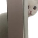 바이엘약국 이미지