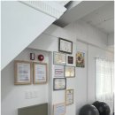 피트니스 1번지 이미지