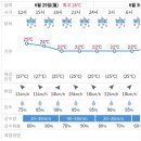 6월29일 월요일 진주날씨 이미지