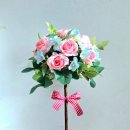 한뫼초등학교 이미지