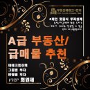 4.15 총선 결과..부동산시장에 미치는 영향..가장 빠른 분석정보 특별세미나!! 이미지