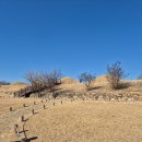 창녕박물관 | 국가유산 방문코스 스탬프 투어, 창녕 교동과 송현동 고분군 창녕박물관 방문후기 &amp; 스탬프 위치 확인