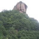 삼보식품 이미지