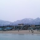 천진해수욕장 이미지