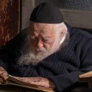 【'랍비 하임 카니에프스키 Rabbi Chaim Kanievsky(1928~2022)】「이 시대의 대표적인 토라의 왕자 」 이미지