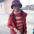 알드림 이미지