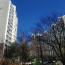 그린빌11단지 이미지