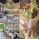 라온스파 | [푸꾸옥 중부]소나시 라온스파 공항 픽업/샌딩 네일(페디) 마사지 후기 내돈내산