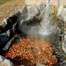 부곡온천관광특구 이미지