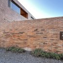 한동리브로콜리 이미지