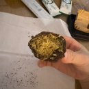 씨유 서초반포점 | 논현역 베이롱 두바이쫀득쿠키 맛집인줄 알았는데 편의점 두쫀쿠인줄 ( 데이롱 카페 반포점 )