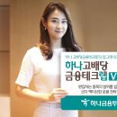 (주)하나화학
