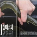 장어이야기 이미지