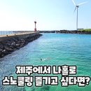월령 선인장 | 월령포구 스노쿨링 물때 빡빡이 오리발대여 선인장 군락지