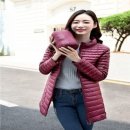 1166 이미지