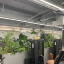 짐포레스트 이미지