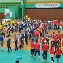 게스템프카테크 이미지