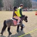 장수목장 이미지