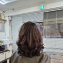 레베헤어 - 원주시 남원로469번길 39 | 레베헤어