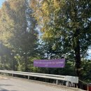 미용하러오개 이미지