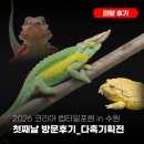 애경 동물병원 | 수원메쎄 코리아 애니멀 포럼 2026 이색동물 박람회 정보 및 무료주차꿀팁