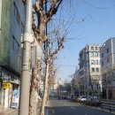 반포대로27길 29 (3) 이미지