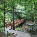 성주산자연휴양림 이미지