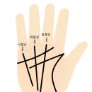 [수상학/손금] 최고의 손금, 삼지창 손금 ! / 마잉주 대만 전 총통 이미지