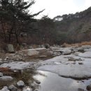 용화산자연휴양림 Daum카페