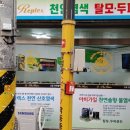 바이오리플렉스