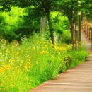 해피로드2 이미지