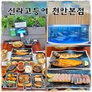 천안고추생선 | 신불당 맛집 고등어회와 생선구이 백석동 신라고등어 천안본점