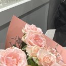 먹고또먹구