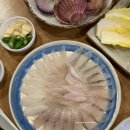 대구 수성구 횟집 / 범어동 횟집 [포항참가자미]