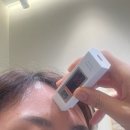 르네아바이더랩