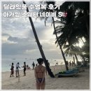 딜라잇PC | [수영복] 딜라잇풀 DELIGHTPOOL 아가일 스웨터 프리피 네이비 S 사이즈 후기 실내수영복 실외수영복 추천