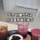 유송블루베리농장 이미지