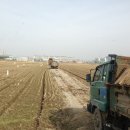 미성동-17 이미지