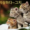 흠