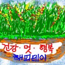 퀸즈헤나 이미지