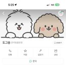 송도그 이미지