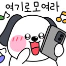 새월식당 이미지