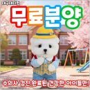 행복한강아지 | 안동강아지분양 행복한 입양 후기